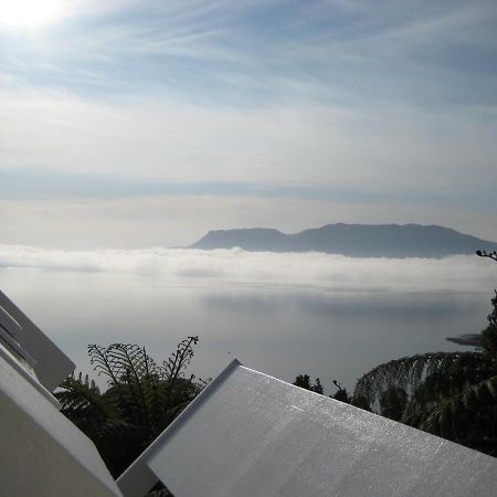 Te Whare -Lake Tarawera Tree-Top Nest Bagian luar foto
