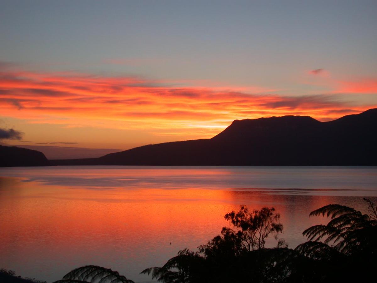 Te Whare -Lake Tarawera Tree-Top Nest Bagian luar foto
